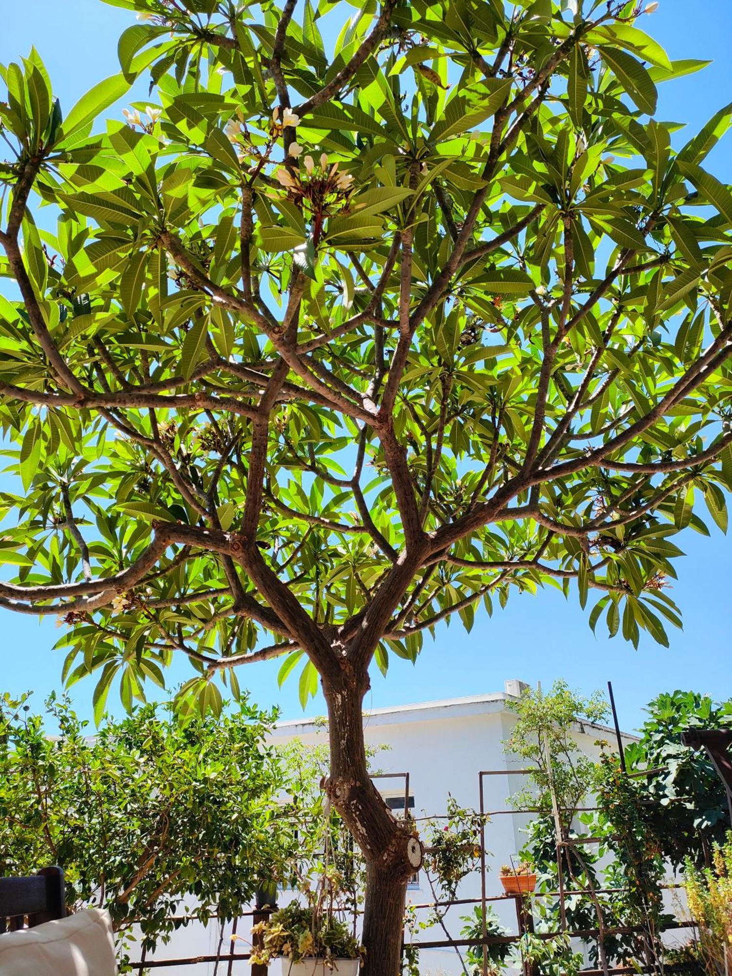 Sky-Line Apartments Afantou Exterior foto