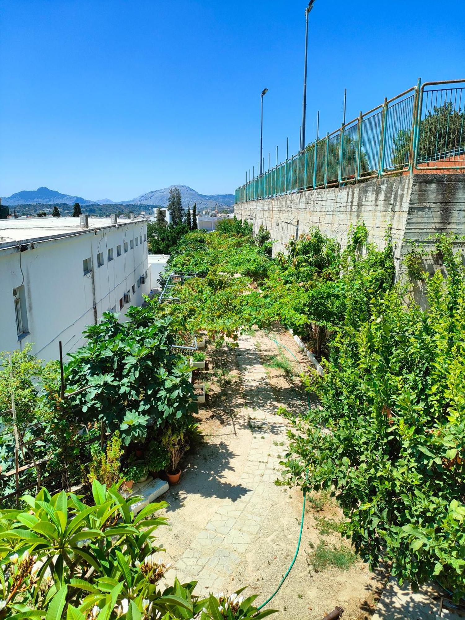 Sky-Line Apartments Afantou Exterior foto